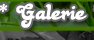Galerie