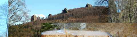 Die Bruchhauser Steine bei einer Wanderung