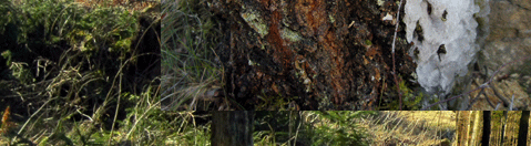 Die Bruchhauser Steine bei einer Wanderung