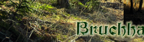 Die Bruchhauser Steine bei einer Wanderung