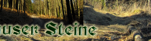 Die Bruchhauser Steine bei einer Wanderung