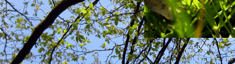 Die Sonne zeigt ihre Strahlen und der Himmel ist blau