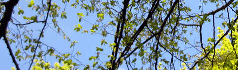 Die Sonne zeigt ihre Strahlen und der Himmel ist blau