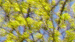 Die Sonne zeigt ihre Strahlen und der Himmel ist blau