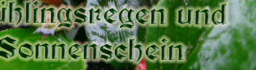 Frühlingsregen und Sonnenschein