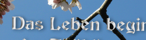 Das Leben beginnt im Frühling, Insekten und Tiere unterwegs