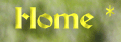 Alles ist erwacht der Frühling beginnt