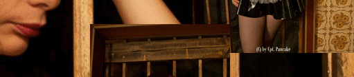 Auf dem Goth Model Treffen 2011