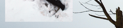 Shooting im Schnee