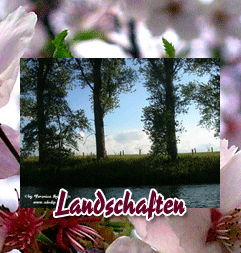Landschafts Wallpaper