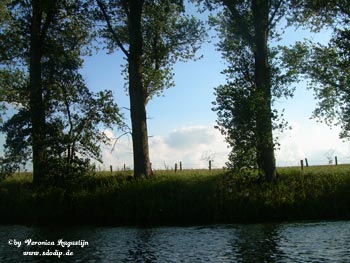 Das Ufer der Lippe