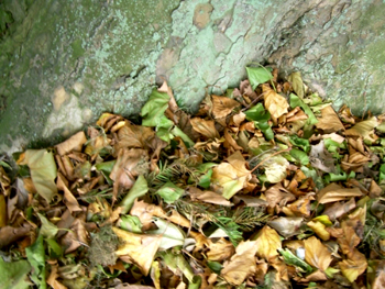 Laubhaufen vor einem Baum