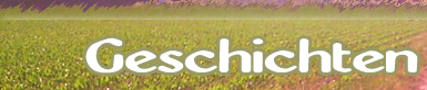 Dackel Jack-Russel Mischling - Geschichten