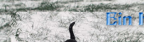 Purzel im Xantener Schnee